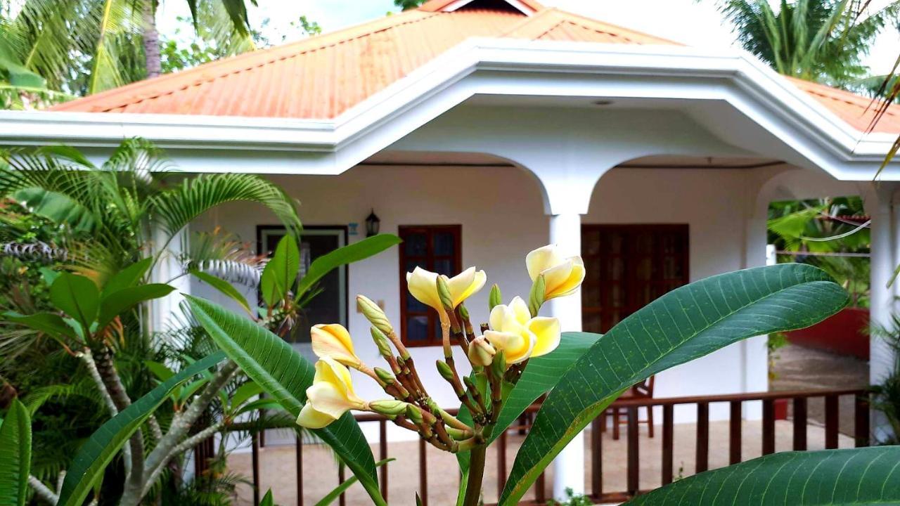 Palmera Palma Private 1-Br Bungalow In モアルボアル エクステリア 写真